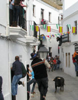 Holiday accommodation to see running with the bulls